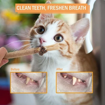 Matatabi Catmint צעצוע מקורה החתול ללקק Matatabi טיפולי שיניים טוחנת כלי זרוק משלוח